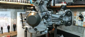 courroies ducati D4